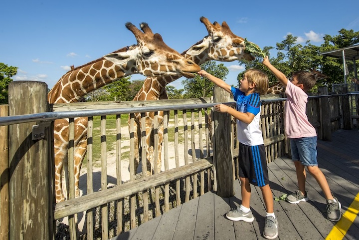 Zoo Miami - Miami on the Water